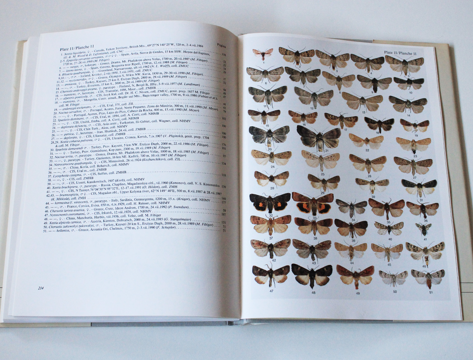noctuidae europaeae vol.2.1